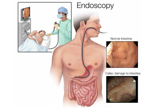 Dr. Neeraj Dhar gallery image