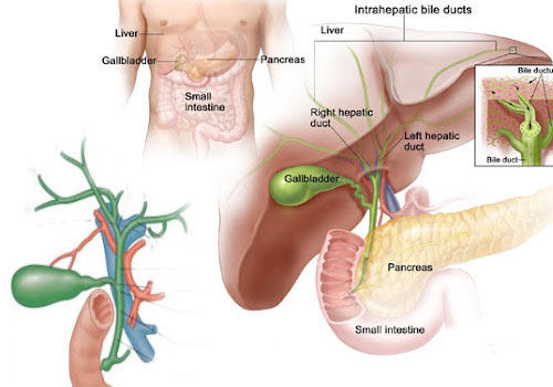 Dr. Kshitiz saran Clinic Gallery  Image 11