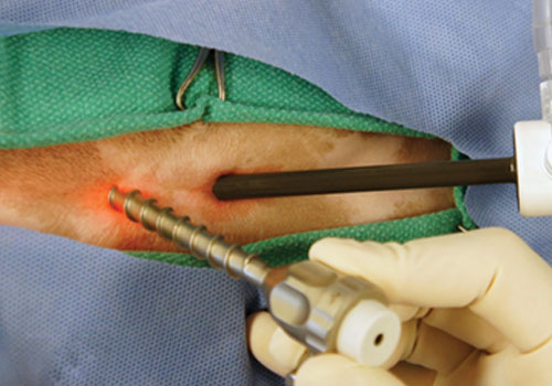 Dr. Kshitiz saran Clinic Gallery - Image 15