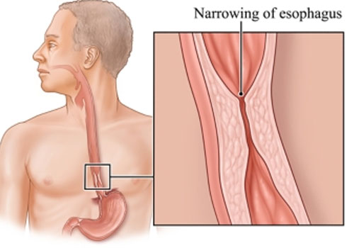 Dr. Neeraj Dhar gallery image